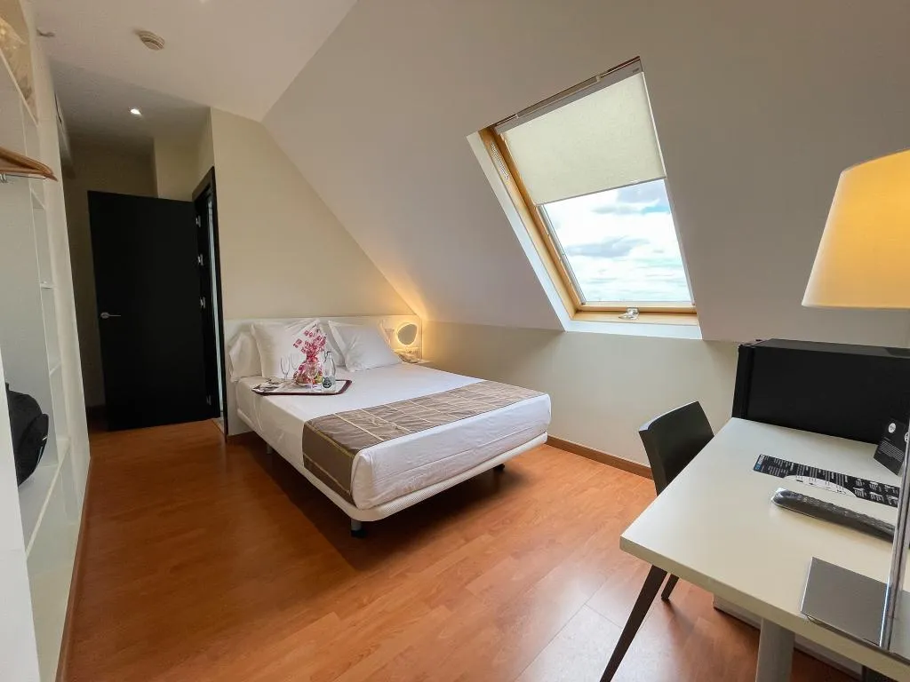 DOUBLE SINGLE USE ECONOMY Room, Vertice Sevilla, Seville