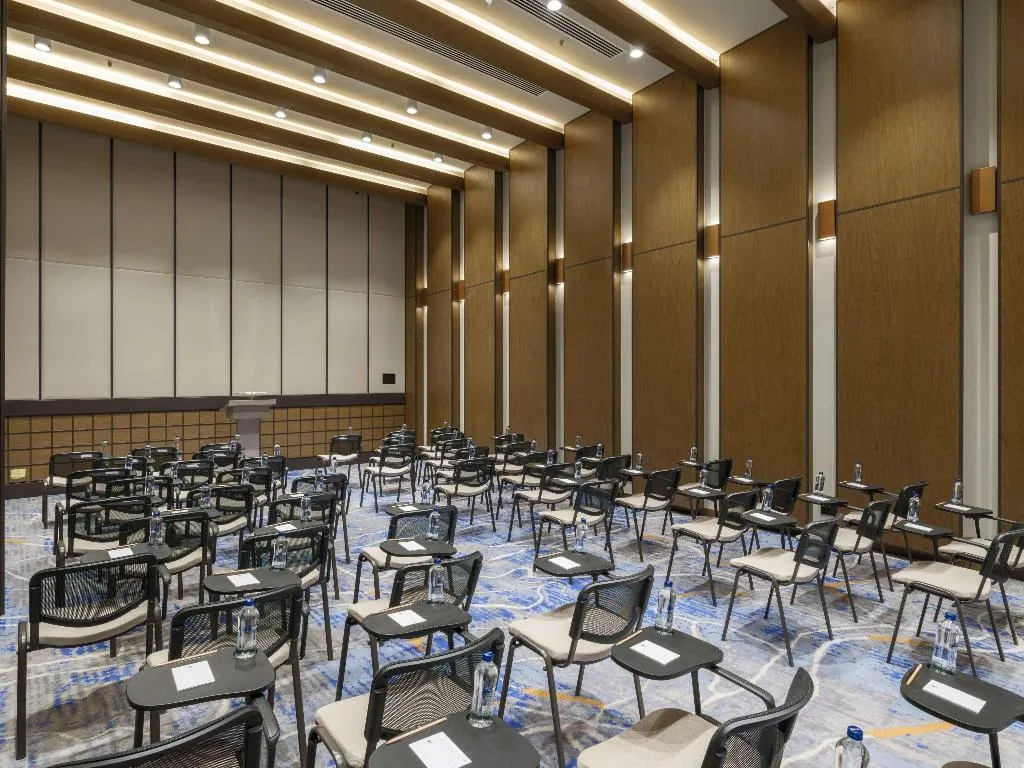 Conferences, Anda Barut Collection, Bodrum