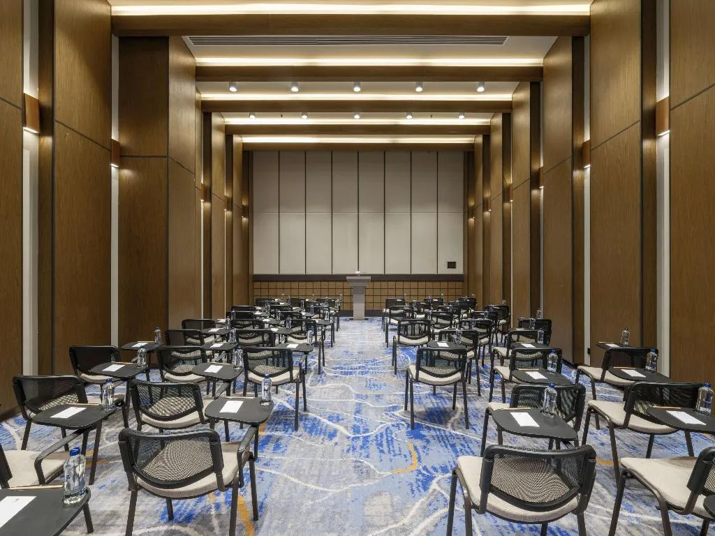 Conferences, Anda Barut Collection, Bodrum
