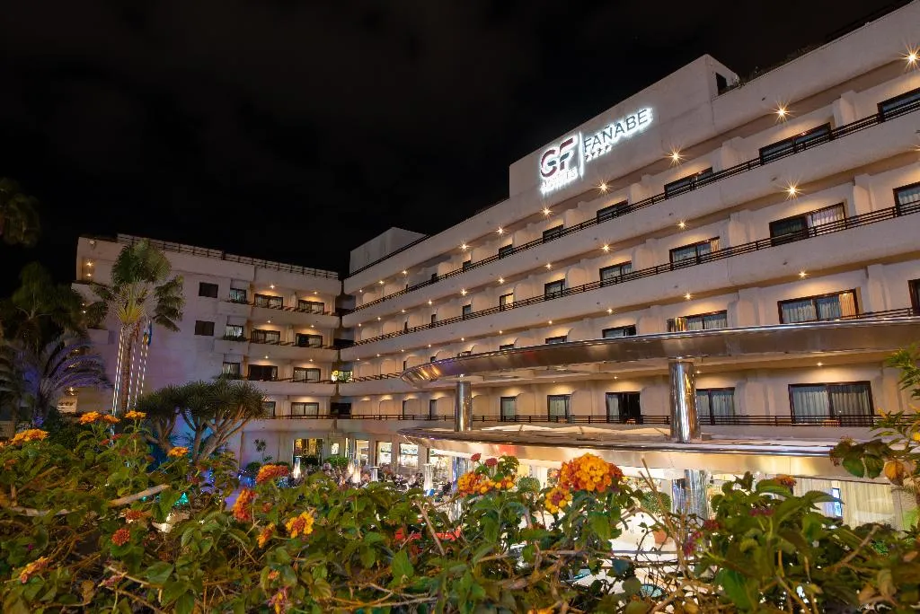 General view, GF Fañabe, Tenerife