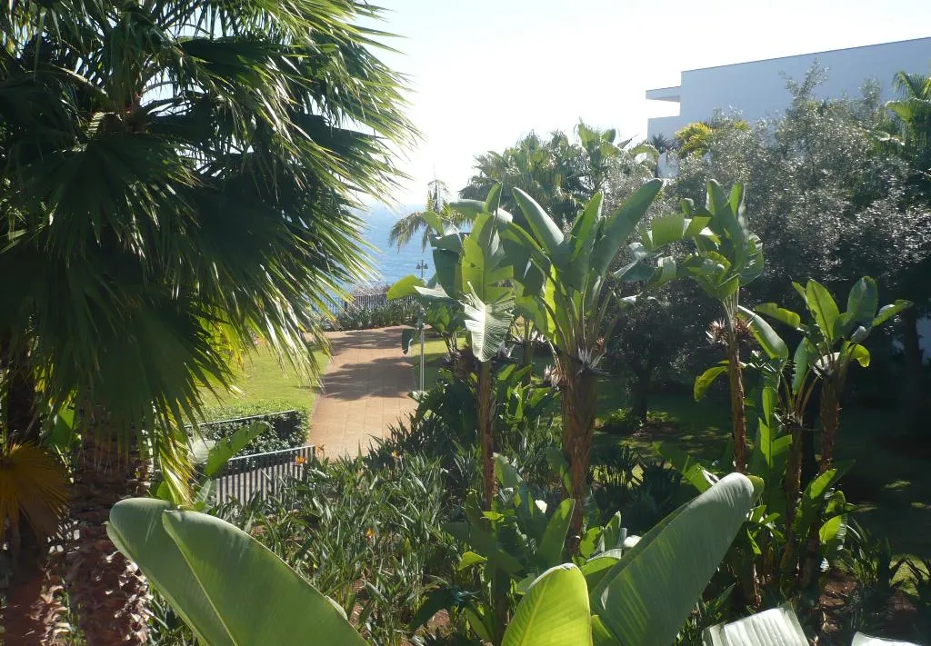 Room, VidaMar Resort Hotel Madeira, Madeira