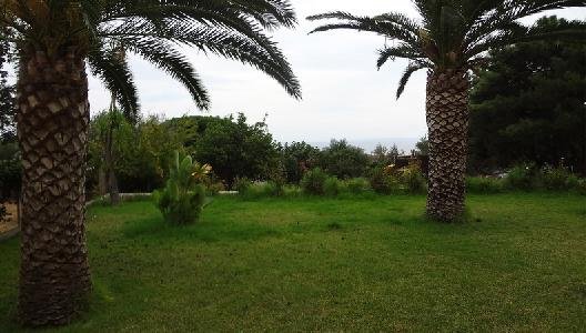 Regina Palm Resort, Kavaje