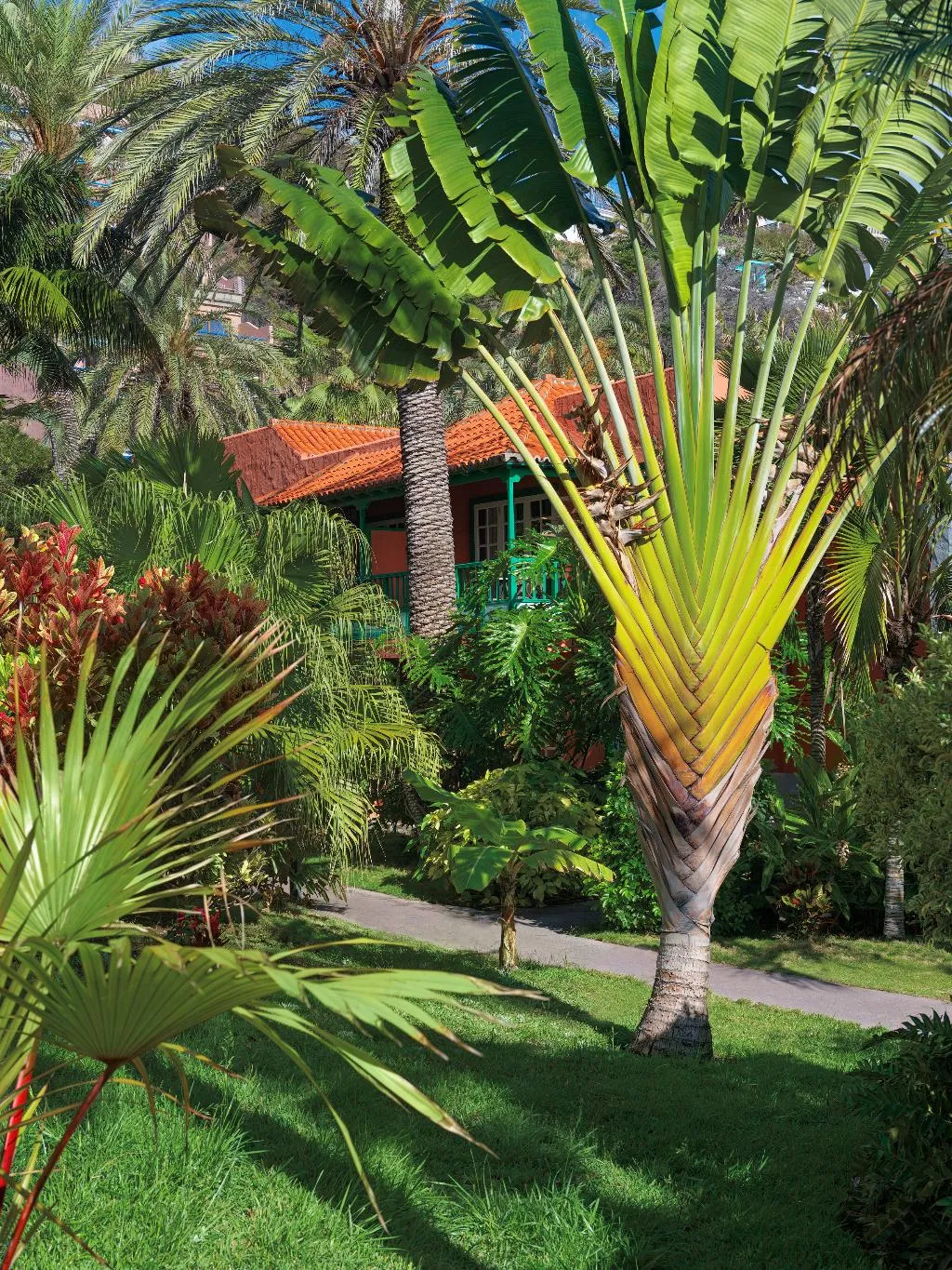 General view, Hacienda San Jorge, La Palma
