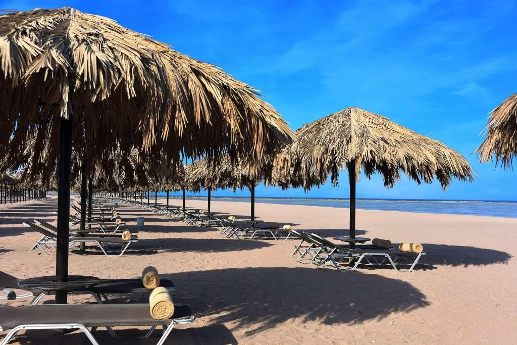 Beach, Steigenberger Alcazar, Red Sea Riviera