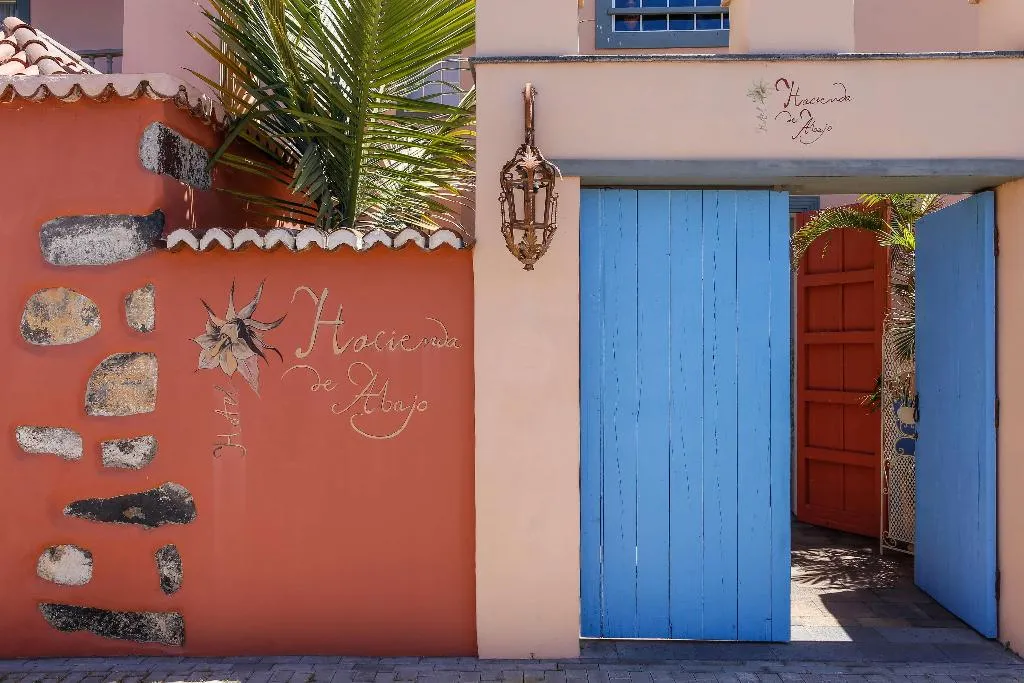 General view, Hacienda de Abajo, La Palma