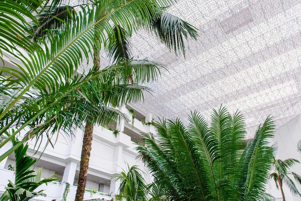 Lobby, Spring Hotel Vulcano, Tenerife