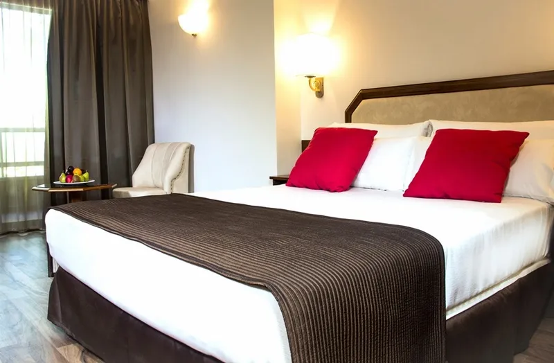 DOUBLE STANDARD Room, Senator Barajas, Madrid