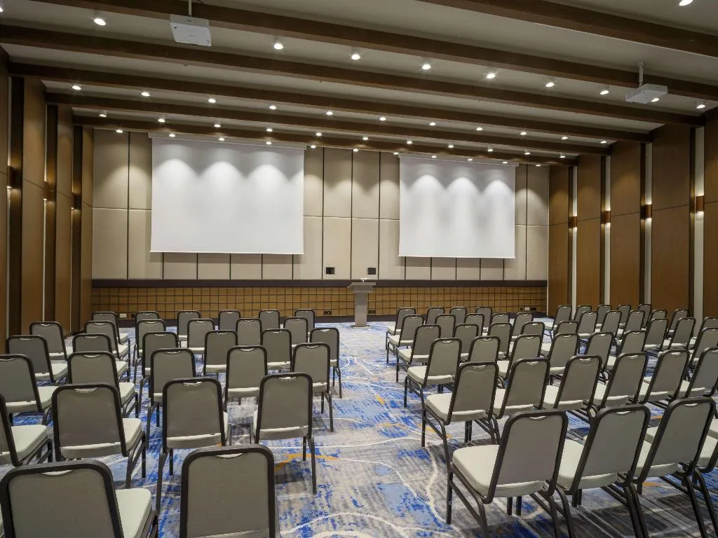 Conferences, Anda Barut Collection, Bodrum