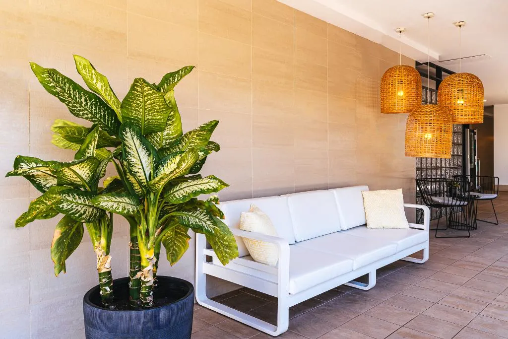 Lobby, Cordial Muelle Viejo, Gran Canaria